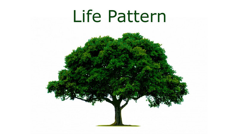 Life Pattern