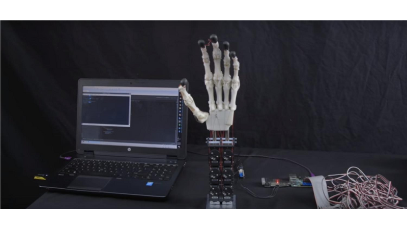 3D printed Biomimetic Robot Prosthetic Hand