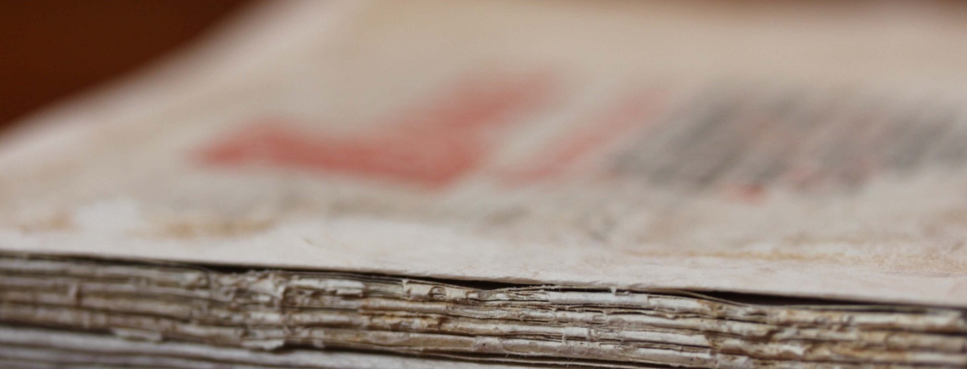 Closeup resume paper with qualifications on the desk during job