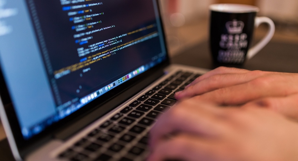 programmer developer coder online recruitment