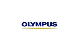 Olympus - ryzyko finansowe