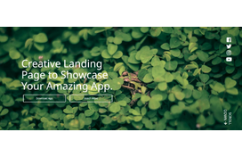 Dazzle - first CodersCamp project