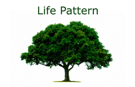 Life Pattern